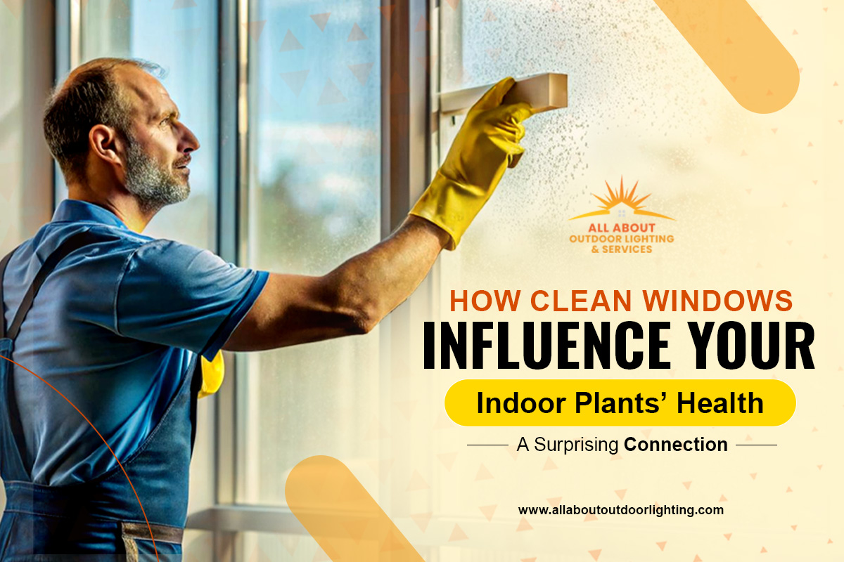 How Clean Windows Influence Your Indoor Plants’ Health: A Surprising Connection